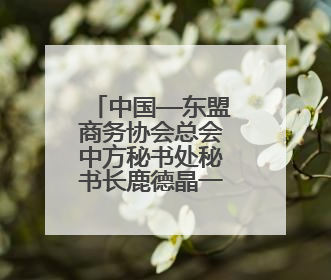 中国—东盟商务协会总会中方秘书处秘书长鹿德晶一行赴滨实地考察对接合作
