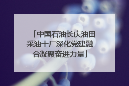 中国石油长庆油田采油十厂深化党建融合凝聚奋进力量