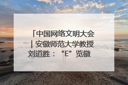 中国网络文明大会｜安徽师范大学教授刘道胜：“E”览徽风，构筑中华民族共有精神家园
