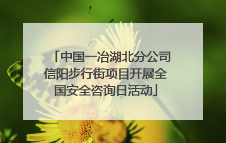 中国一冶湖北分公司信阳步行街项目开展全国安全咨询日活动
