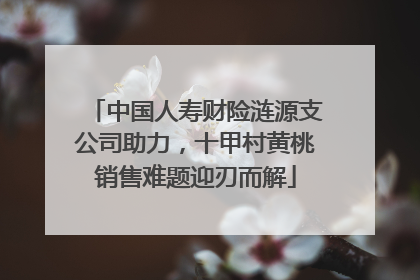 中国人寿财险涟源支公司助力，十甲村黄桃销售难题迎刃而解