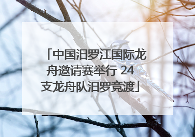 中国汨罗江国际龙舟邀请赛举行 24支龙舟队汨罗竞渡
