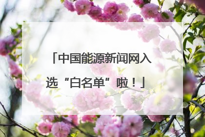 中国能源新闻网入选“白名单”啦！