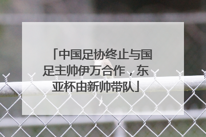 中国足协终止与国足主帅伊万合作，东亚杯由新帅带队