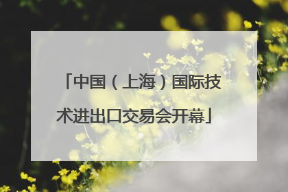 中国（上海）国际技术进出口交易会开幕