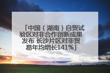 中国（湖南）自贸试验区对非合作创新成果发布 长沙片区对非贸易年均增长141%