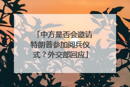 中方是否会邀请特朗普参加阅兵仪式？外交部回应