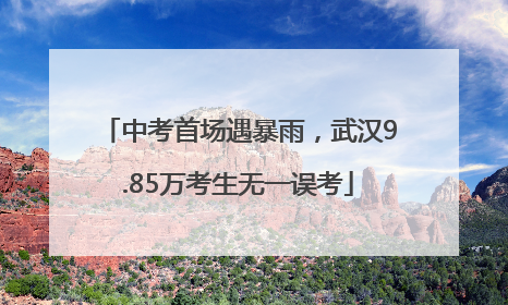 中考首场遇暴雨，武汉9.85万考生无一误考