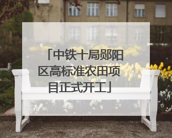 中铁十局郧阳区高标准农田项目正式开工