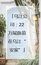乌江公司：22万尾鱼苗在乌江“安家”