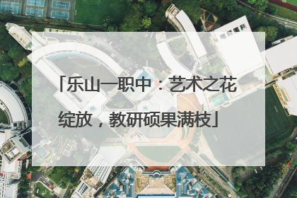乐山一职中：艺术之花绽放，教研硕果满枝
