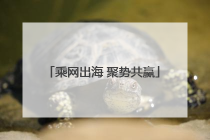 乘网出海 聚势共赢