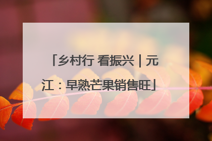乡村行 看振兴｜元江：早熟芒果销售旺