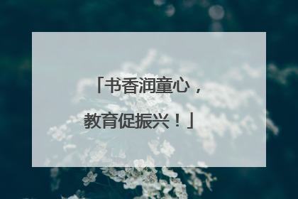 书香润童心，教育促振兴！
