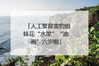 人工繁育雪豹姐妹花“水墨”“油画”六岁啦