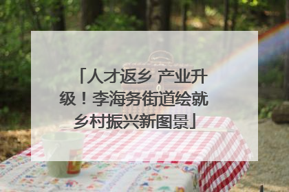 人才返乡 产业升级！李海务街道绘就乡村振兴新图景