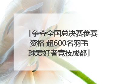 争夺全国总决赛参赛资格 超600名羽毛球爱好者竞技成都
