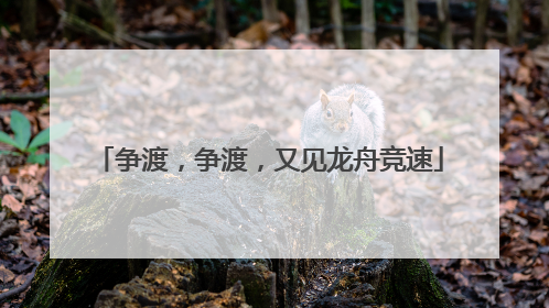 争渡，争渡，又见龙舟竞速