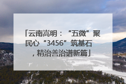 云南嵩明：“五微”聚民心“3456”筑基石，精治善治谱新篇