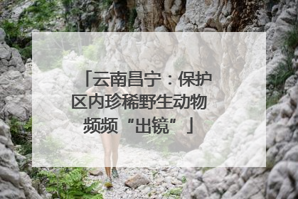 云南昌宁：保护区内珍稀野生动物频频“出镜”