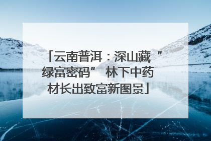 云南普洱：深山藏“绿富密码” 林下中药材长出致富新图景
