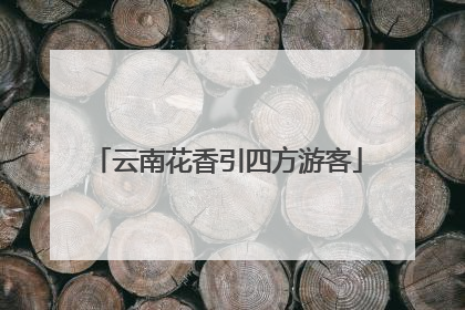 云南花香引四方游客