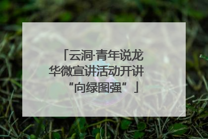云洞·青年说龙华微宣讲活动开讲“向绿图强”