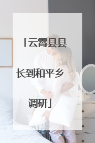 云霄县县长到和平乡调研