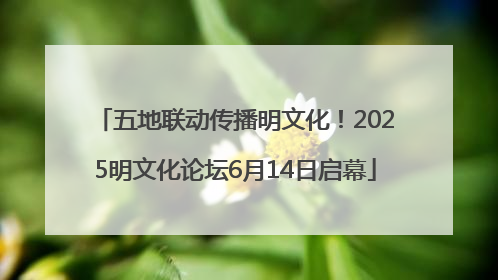 五地联动传播明文化！2025明文化论坛6月14日启幕