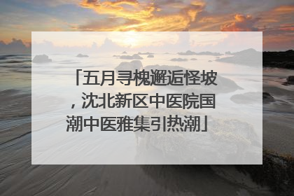 五月寻槐邂逅怪坡，沈北新区中医院国潮中医雅集引热潮