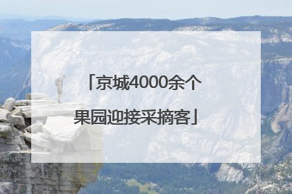 京城4000余个果园迎接采摘客