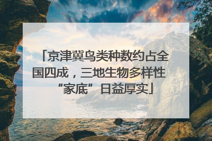 京津冀鸟类种数约占全国四成，三地生物多样性“家底”日益厚实