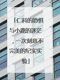 仁科的恐惧与小鹿的迷茫，一次刻意不完美的纪实实验