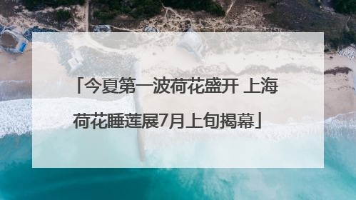 今夏第一波荷花盛开 上海荷花睡莲展7月上旬揭幕