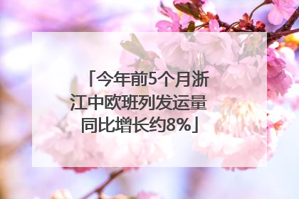 今年前5个月浙江中欧班列发运量同比增长约8%