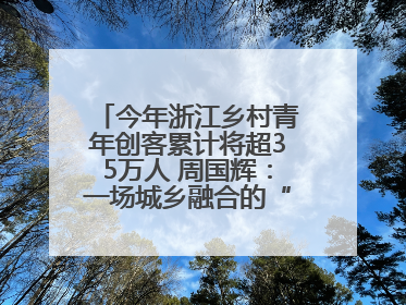今年浙江乡村青年创客累计将超35万人 周国辉：一场城乡融合的“双向奔赴”