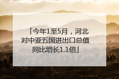 今年1至5月，河北对中亚五国进出口总值同比增长1.1倍