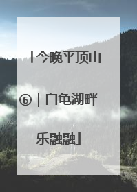 今晚平顶山⑥｜白龟湖畔乐融融