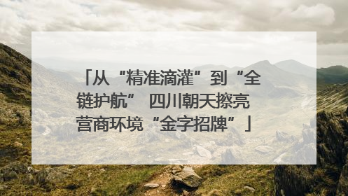 从“精准滴灌”到“全链护航” 四川朝天擦亮营商环境“金字招牌”