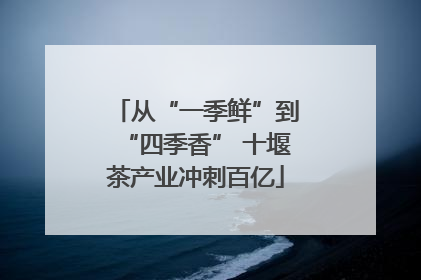从“一季鲜”到“四季香” 十堰茶产业冲刺百亿