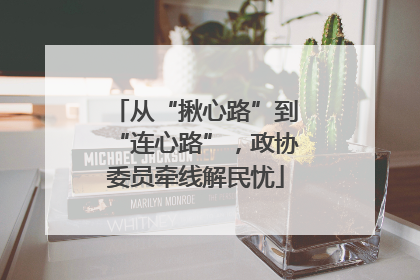从“揪心路”到“连心路”，政协委员牵线解民忧