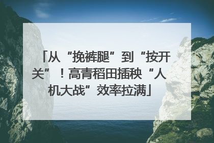 从“挽裤腿”到“按开关”！高青稻田插秧“人机大战”效率拉满