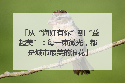 从“海好有你”到“益起美”：每一束微光，都是城市最美的浪花