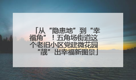 从“隐患地”到“幸福角”！五角场街道这个老旧小区党建微花园“靓”出幸福新图景