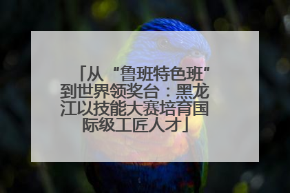 从“鲁班特色班”到世界领奖台：黑龙江以技能大赛培育国际级工匠人才