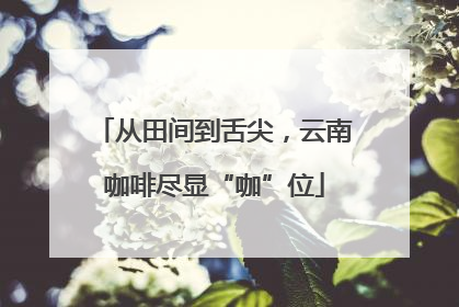 从田间到舌尖，云南咖啡尽显“咖”位