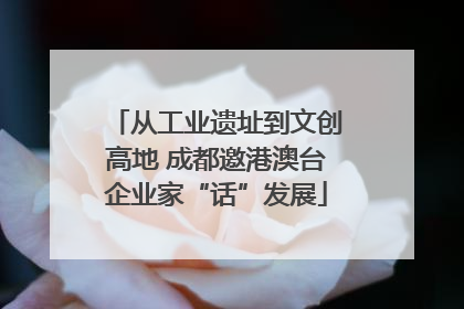 从工业遗址到文创高地 成都邀港澳台企业家“话”发展