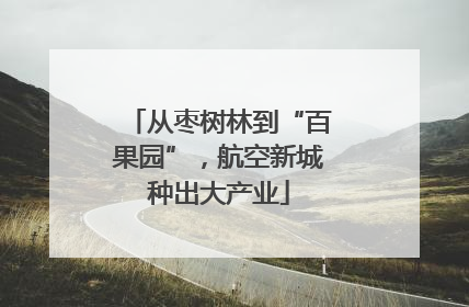 从枣树林到“百果园”，航空新城种出大产业