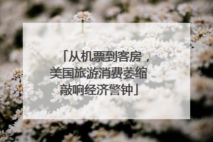 从机票到客房，美国旅游消费萎缩敲响经济警钟