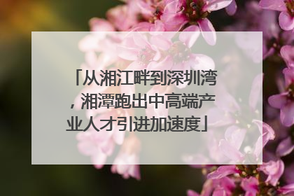 从湘江畔到深圳湾，湘潭跑出中高端产业人才引进加速度